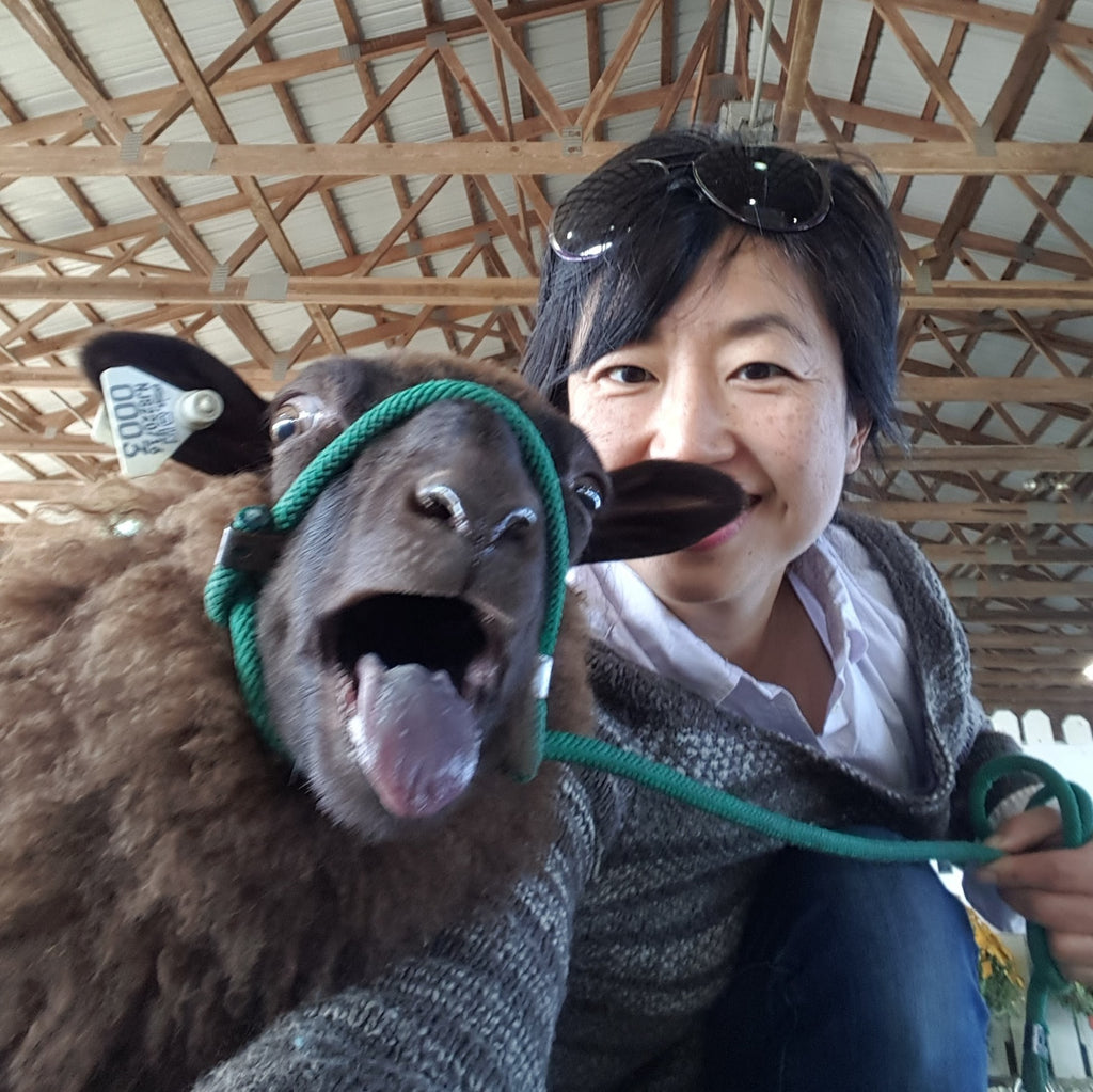 Garden State Sheep Breeders NJ Sheep & Fiber Festival